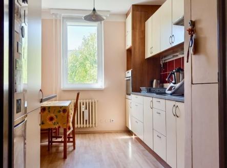 Prodej bytu, 1+1, 43 m²