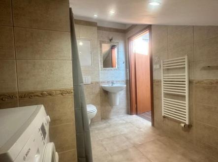 Prodej bytu, 1+kk, 49 m²