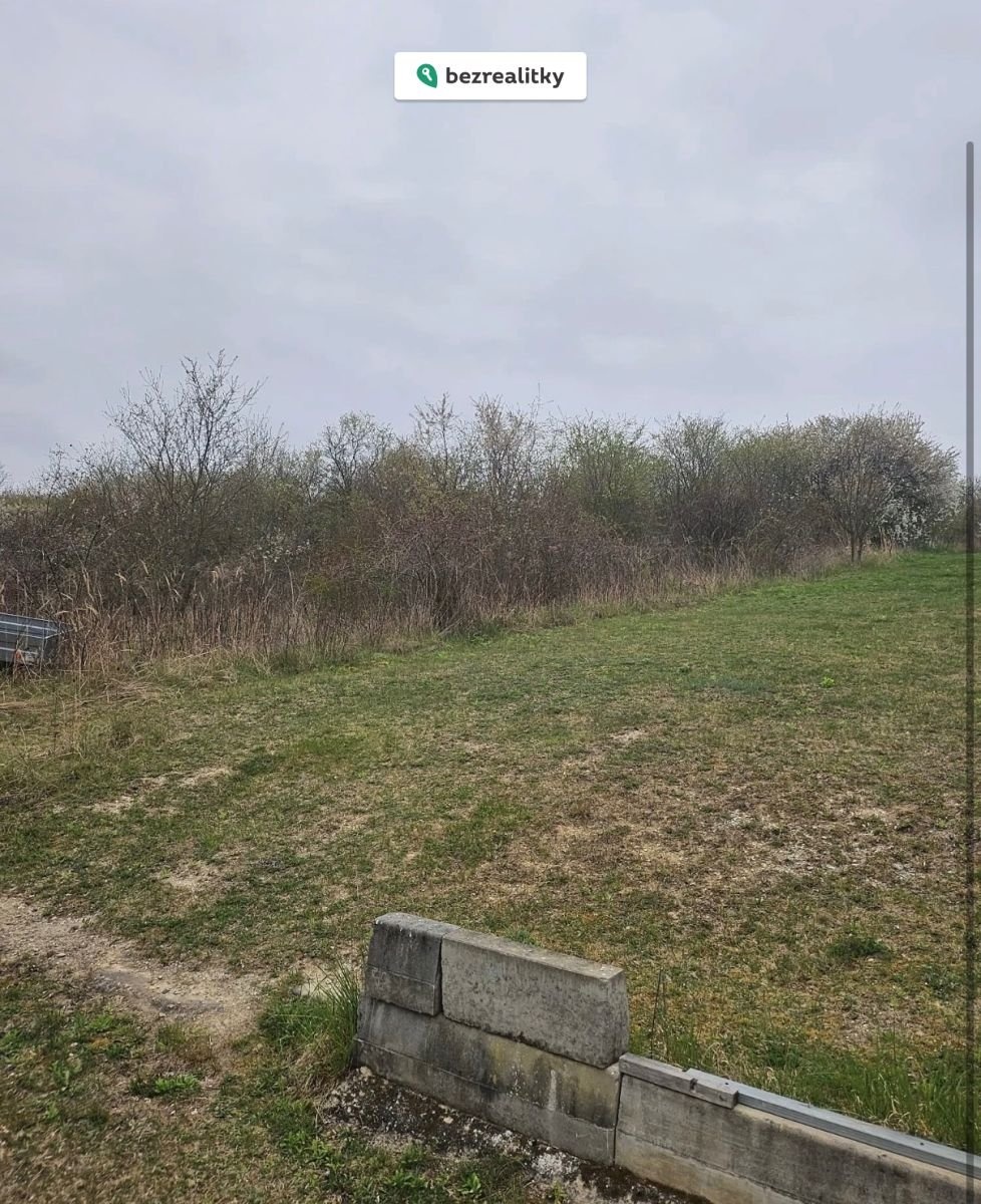 1779700679-lqihbfudst-img-0876