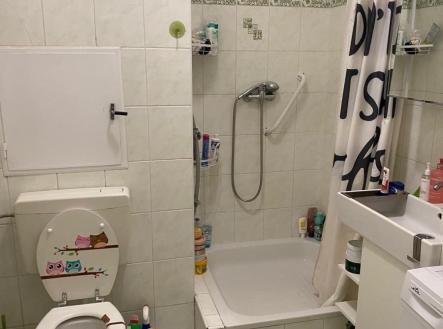 Prodej bytu, 1+kk, 32 m²