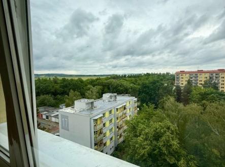 1780750997-ezpnzdxenb-img-4694