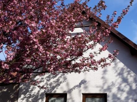 Prodej domu/vily, 145 m²