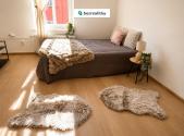Prodej bytu, 1+kk, 27 m²