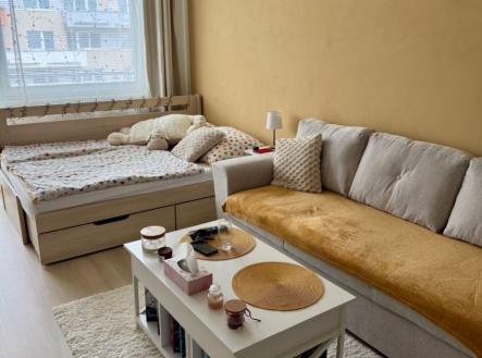 Prodej bytu, 1+kk, 34 m²