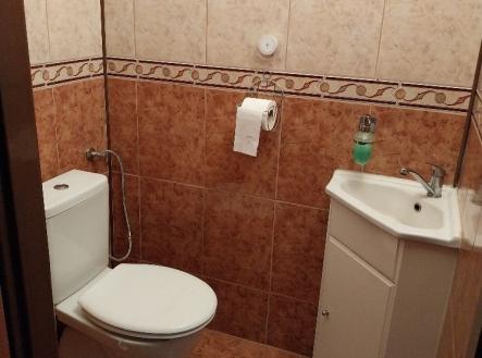 Prodej domu/vily, 362 m²