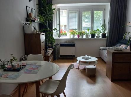 Prodej bytu, 2+kk, 46 m²