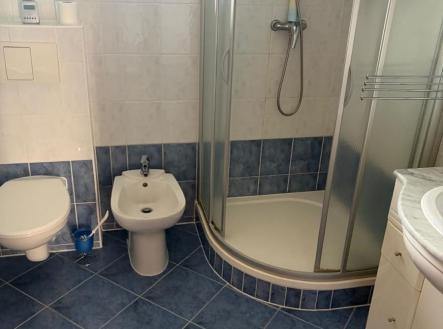 Prodej domu/vily, 100 m²