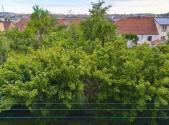Prodej bytu, 2+1, 60 m²