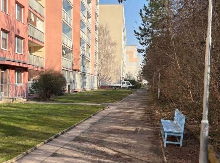 1778951949-dhcfvosoka-img-1769