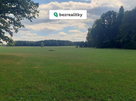 Nemovitost