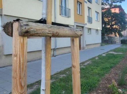 Nemovitost