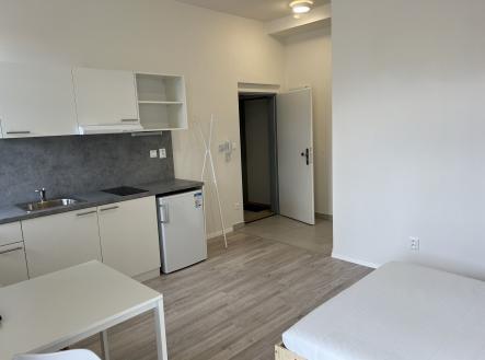 Pronájem bytu, 1+kk, 23 m²