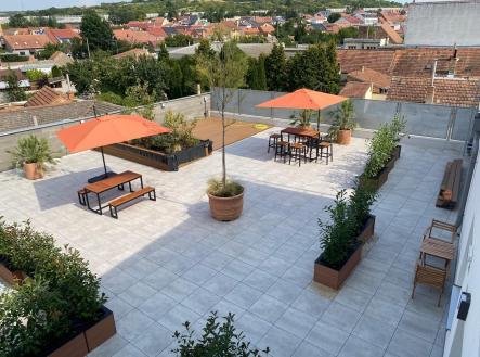 Pronájem bytu, 2+kk, 53 m²