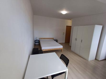 Pronájem bytu, 1+kk, 23 m²