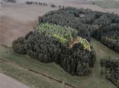 Prodej pozemku, les, 7 816 m²