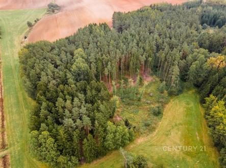 Prodej pozemku, les, 7 816 m²
