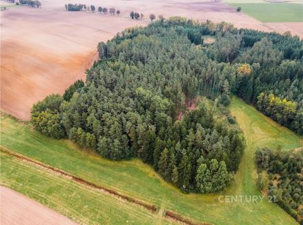 Prodej pozemku, les, 7 816 m²