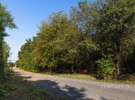 Prodej pozemku pro komerční výstavbu, 4 736 m²