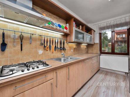 Prodej domu/vily, 251 m²