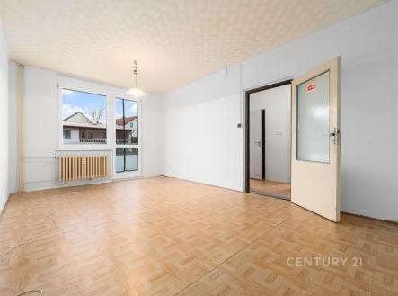 Prodej bytu, 1+1, 41 m²