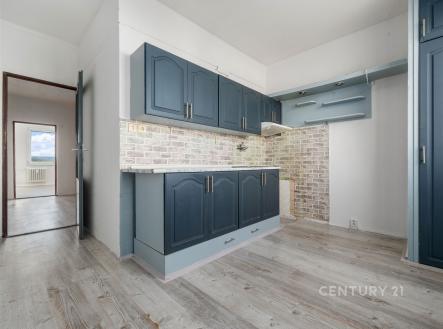 Prodej bytu, 3+1, 79 m²