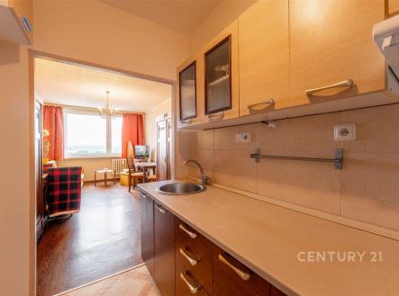 Prodej bytu, 2+kk, 45 m²