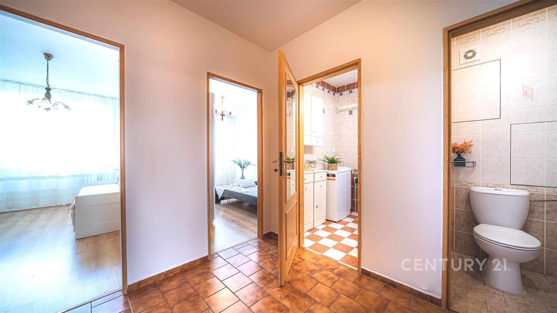 Fotku se nepodařilo načíst.