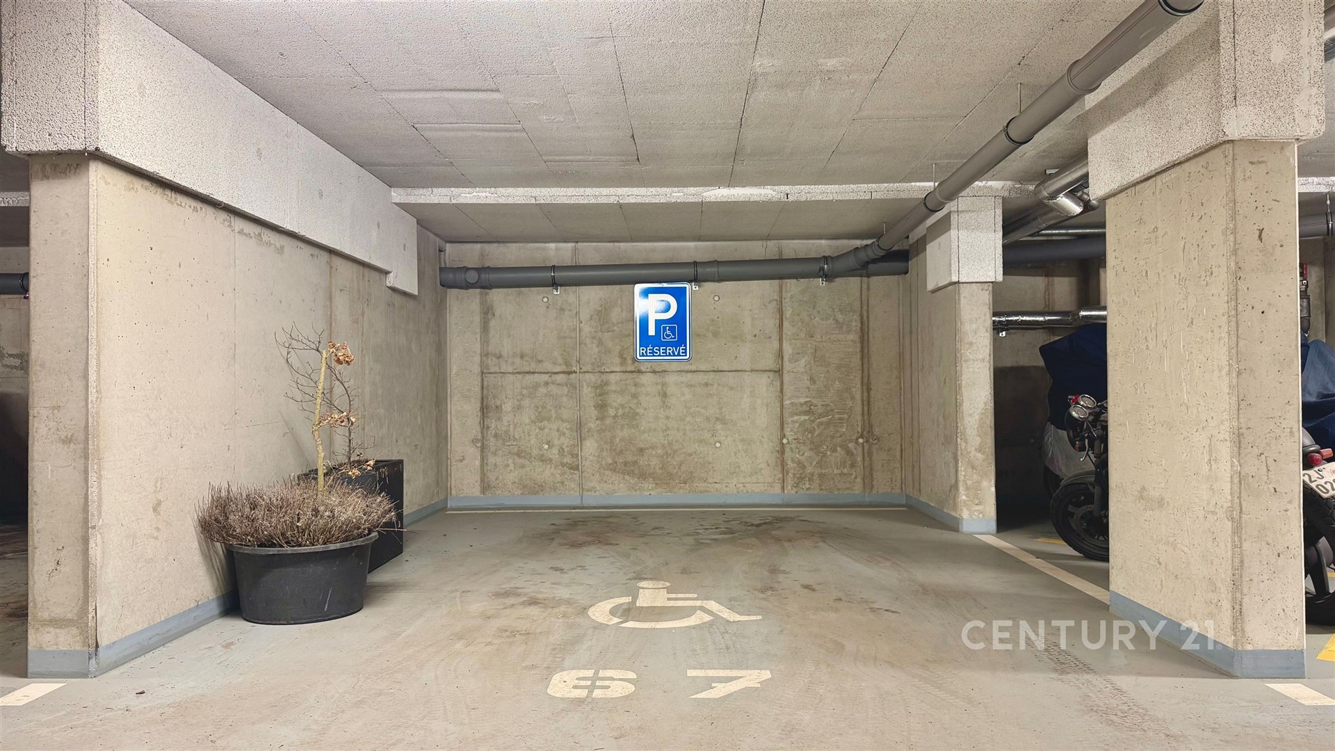 Fotku se nepodařilo načíst.