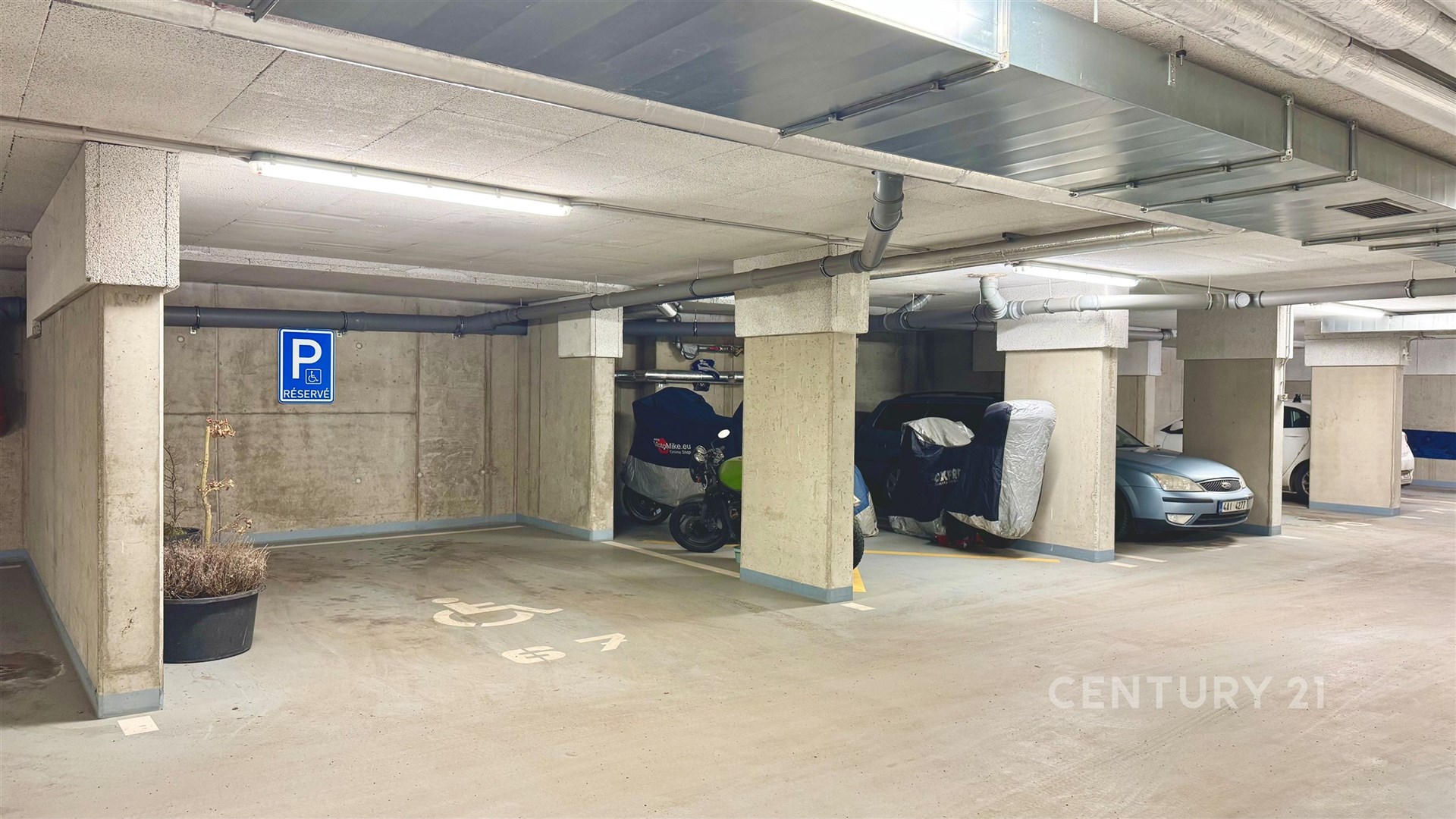 Fotku se nepodařilo načíst.