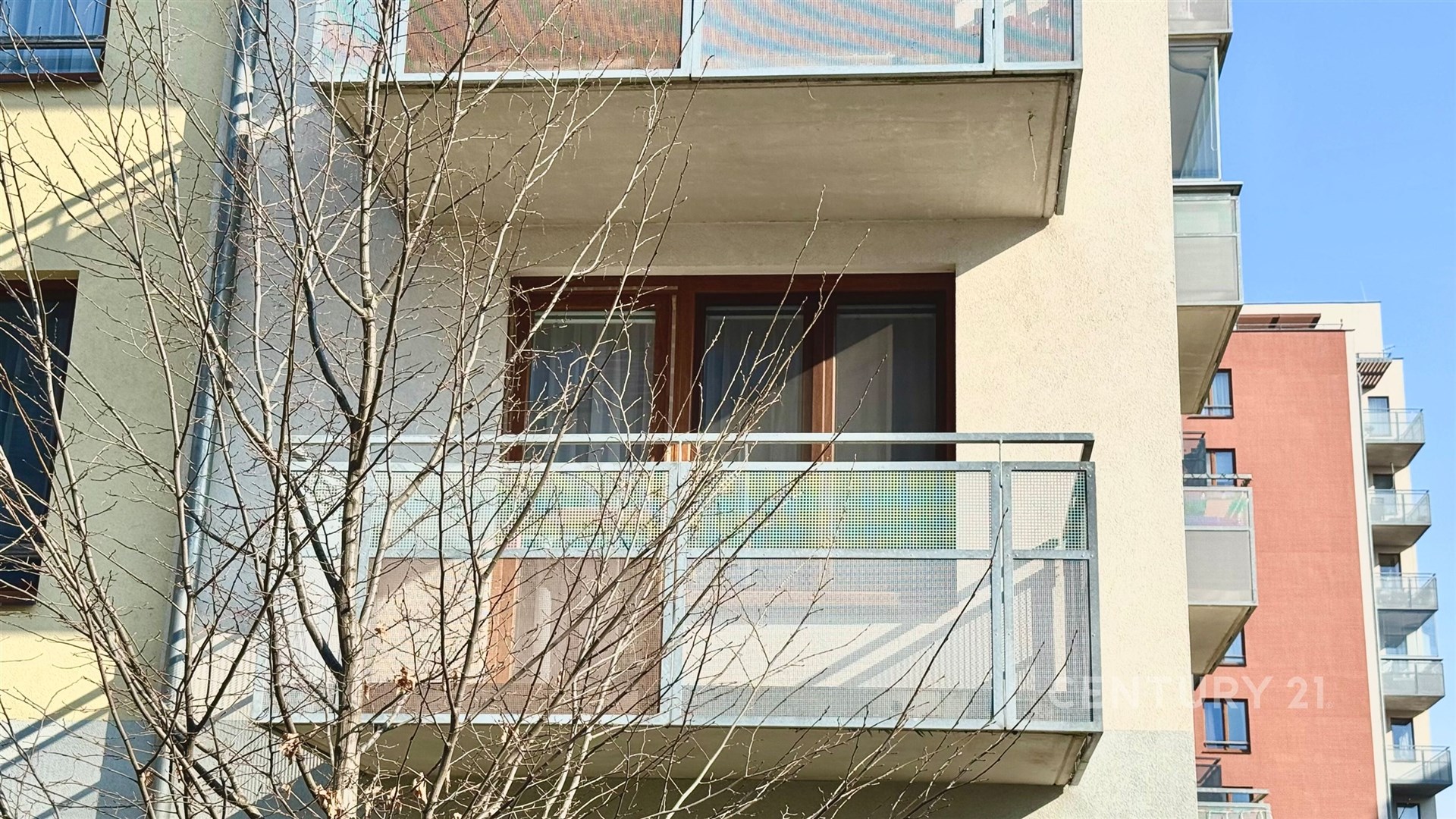 Fotku se nepodařilo načíst.