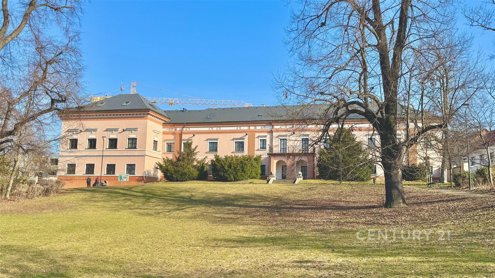 Fotku se nepodařilo načíst.