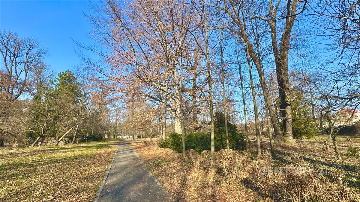 Fotku se nepodařilo načíst.