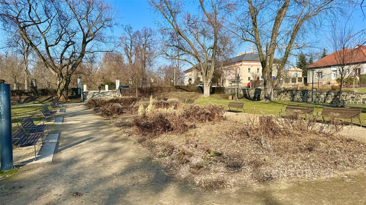 Fotku se nepodařilo načíst.