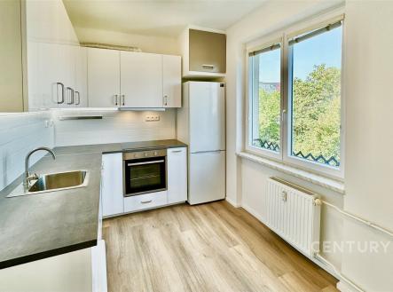 Pronájem bytu, 2+1, 53 m²