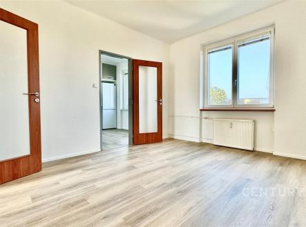 Pronájem bytu, 2+1, 53 m²