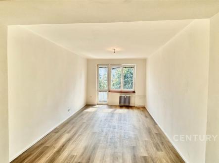 Pronájem bytu, 2+1, 53 m²