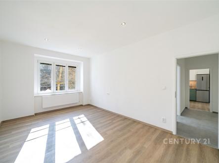 Pronájem bytu, 2+1, 57 m²