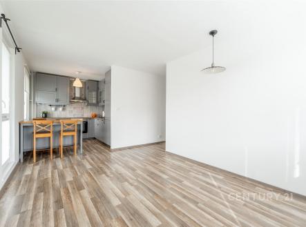 Pronájem bytu, 3+kk, 67 m²