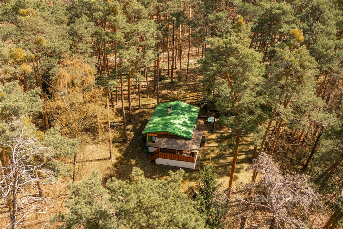 Horská chata s dřevěnou verandou uprostřed lesa, zelená střecha, obklopena borovicemi, ideální pro milovníky přírody a klidu