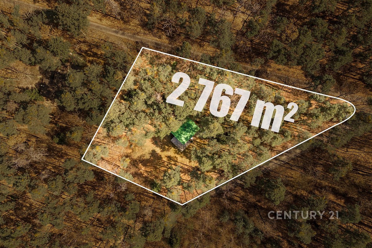 Pozemek uprostřed lesa, velikost 2767 m², obklopený stromy, vhodný pro stavbu domu, klidné prostředí, ideální pro milovníky přírody