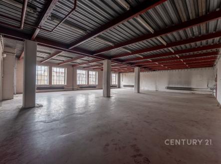 Pronájem skladovací prostor, 700 m²