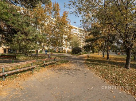 Prodej bytu, 2+kk, 45 m²