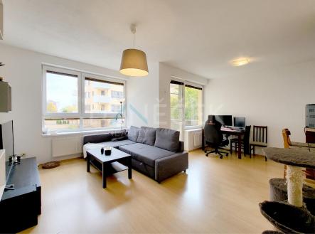 Pronájem bytu, 2+kk, 54 m²