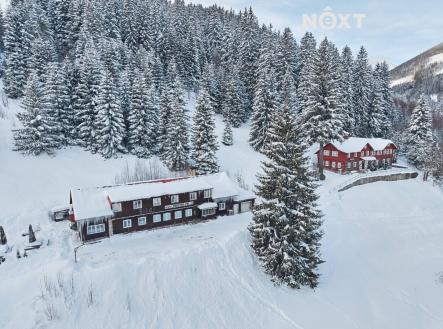 Prodej domu/vily, 600 m²