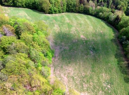 Prodej - pozemek, trvalý travní porost, 12 000 m²