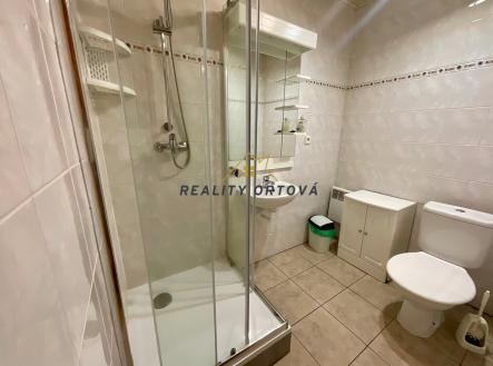 Prodej - hotel, 264 m²