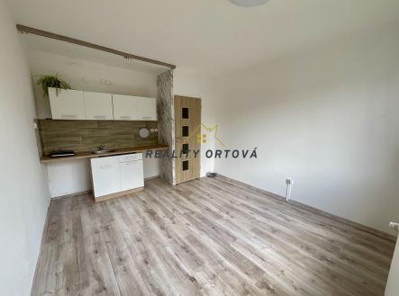 Pronájem bytu, 1+kk, 29 m²