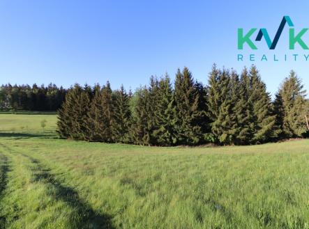 Prodej pozemku, les, 8 922 m²