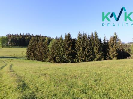 Prodej pozemku, les, 8 922 m²