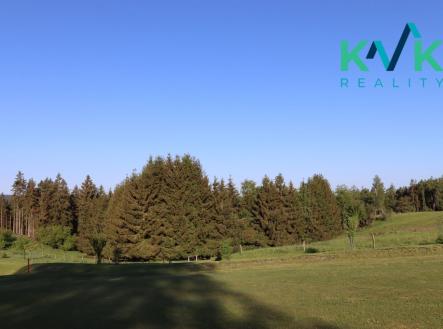 Prodej pozemku, les, 8 922 m²